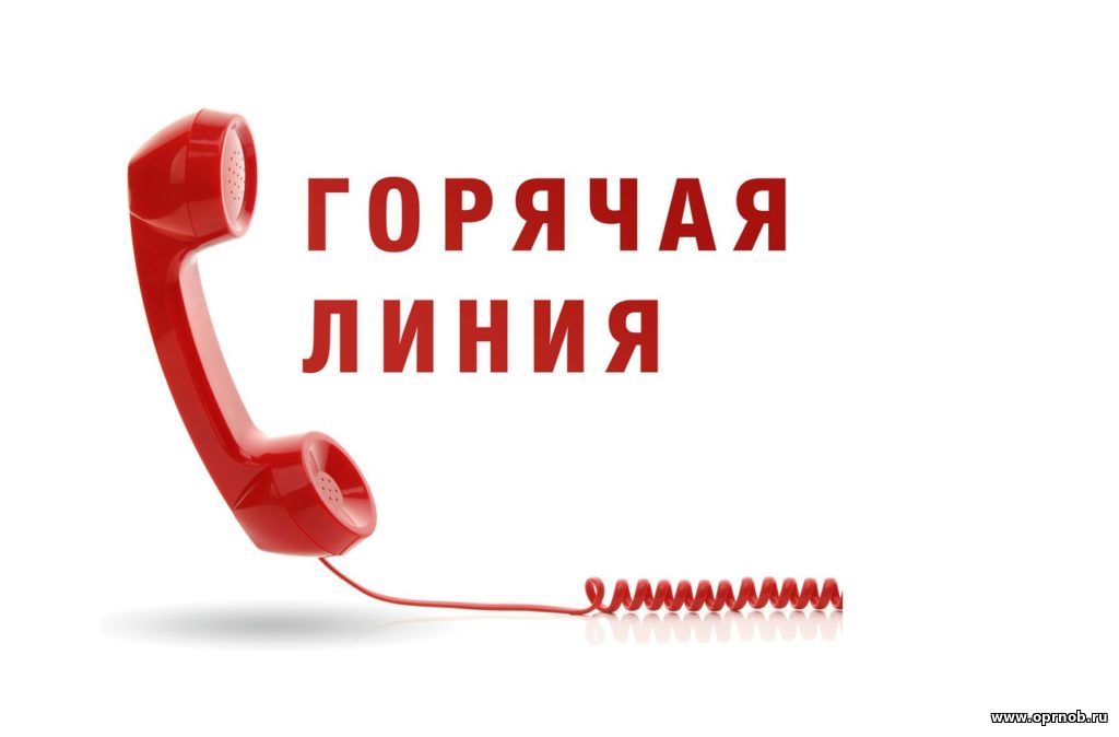 Горячая линия